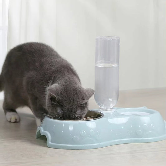 DuoDine 2-in-1 Cat Food & Water Bowl