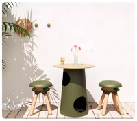 Wooden Cat Play Stool