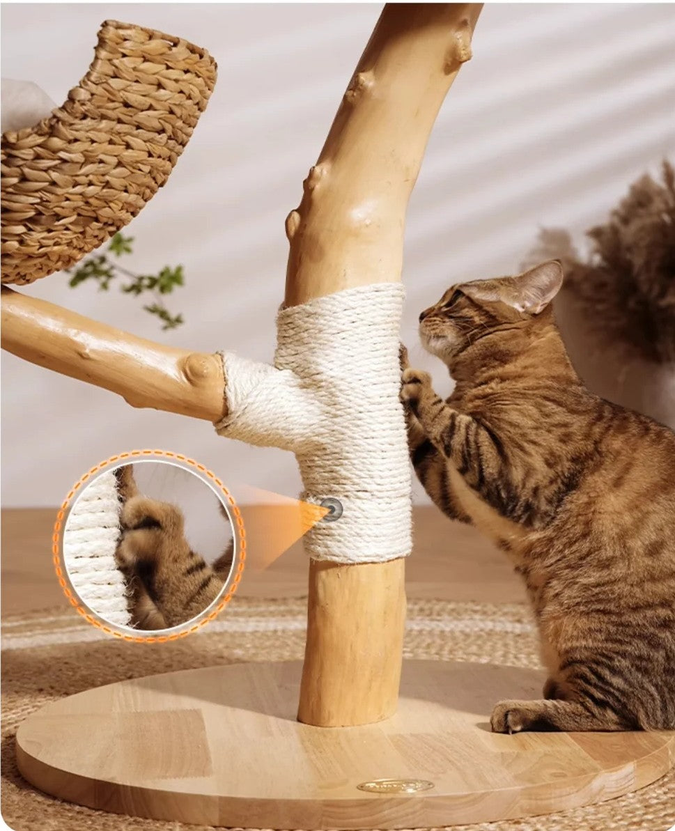 Skyline Architectural Cat Tower